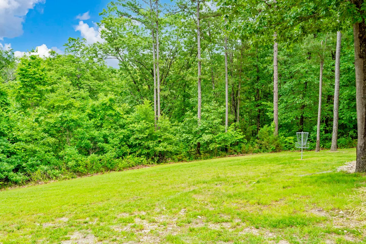A lush outdoor space with tall trees and a disc golf basket, suggesting areas for outdoor games, picnics, and nature walks. The scene exudes a relaxed, playful mood ideal for all ages.