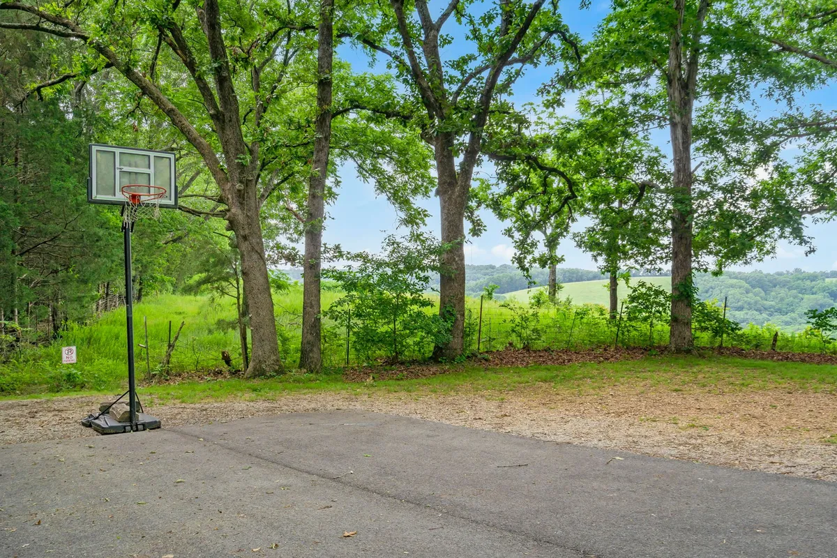An exterior view of a basketball hoop set against expansive greenery and distant hills. The open outdoor area is perfect for energetic play and offers a refreshing change of pace from indoor entertainment.