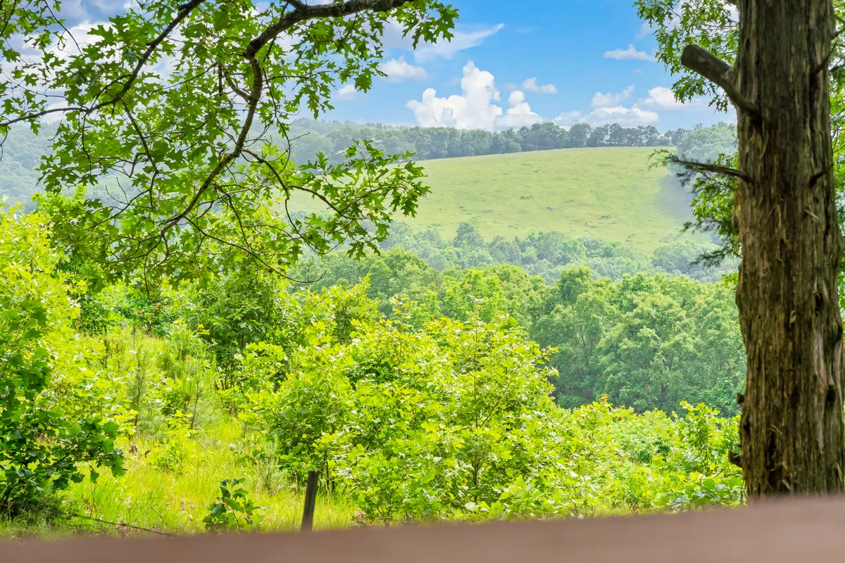 A panoramic view of lush greenery, rolling distant hills, and an expansive blue sky dotted with clouds. The scene invites viewers to imagine walking or hiking along trails, soaking in the tranquil beauty of the Ozarks.